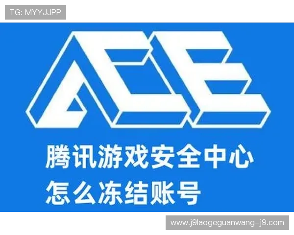 九游PT电游安全保障措施，保障玩家账号安全与游戏环境的健康发展